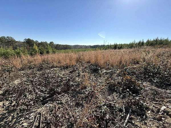 5 Acres of Residential Land for Sale in Dunlap, Tennessee