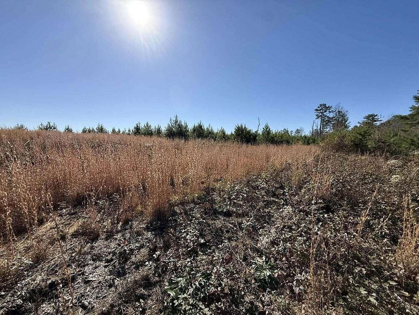 5 Acres of Residential Land for Sale in Dunlap, Tennessee