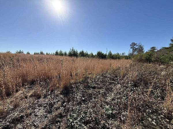 5 Acres of Residential Land for Sale in Dunlap, Tennessee