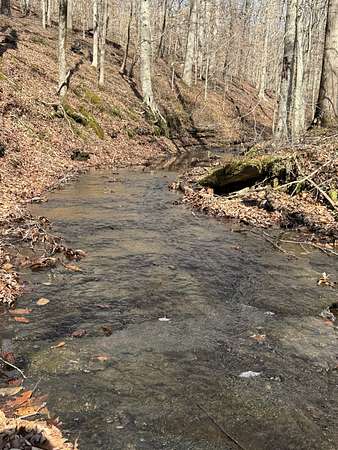 10.6 Acres of Land for Sale in Franklin, Tennessee