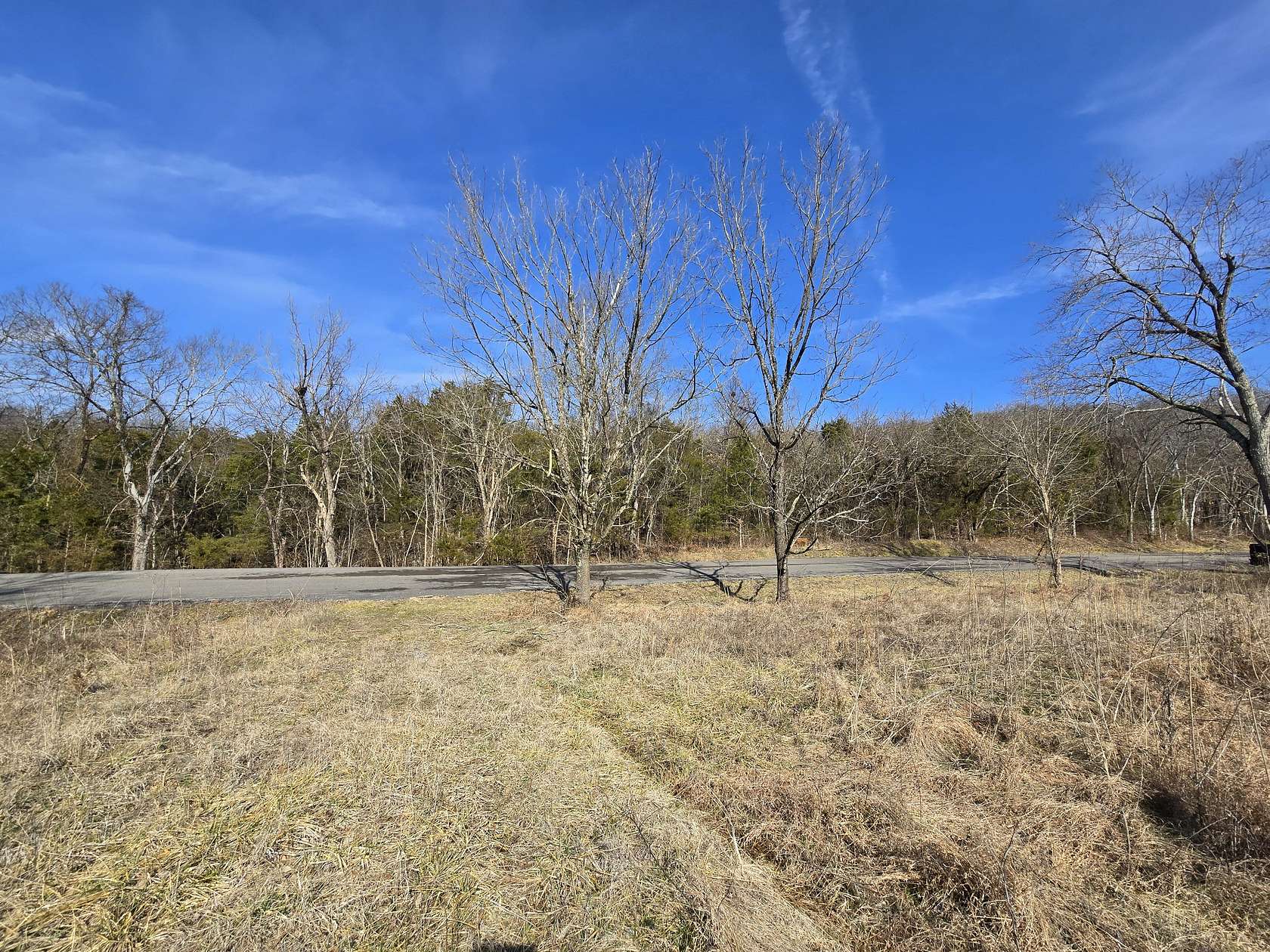 125 Acres of Land for Sale in Bell Buckle, Tennessee