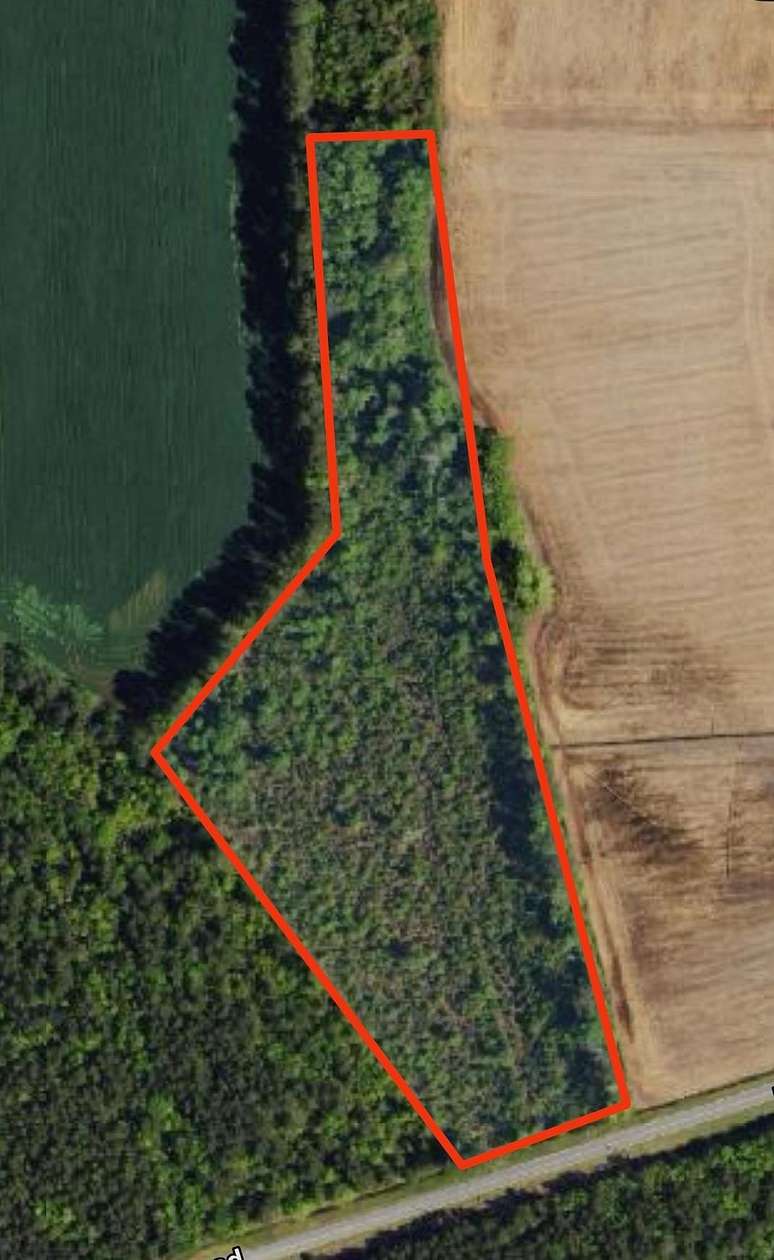 8.84 Acres of Residential Land for Sale in Nichols, South Carolina