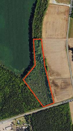 8.84 Acres of Residential Land for Sale in Nichols, South Carolina
