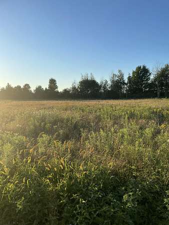 10 Acres of Residential Land for Sale in Nunica, Michigan