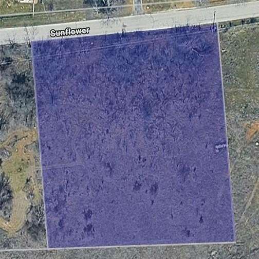 2.13 Acres of Residential Land for Sale in Paradise, Texas