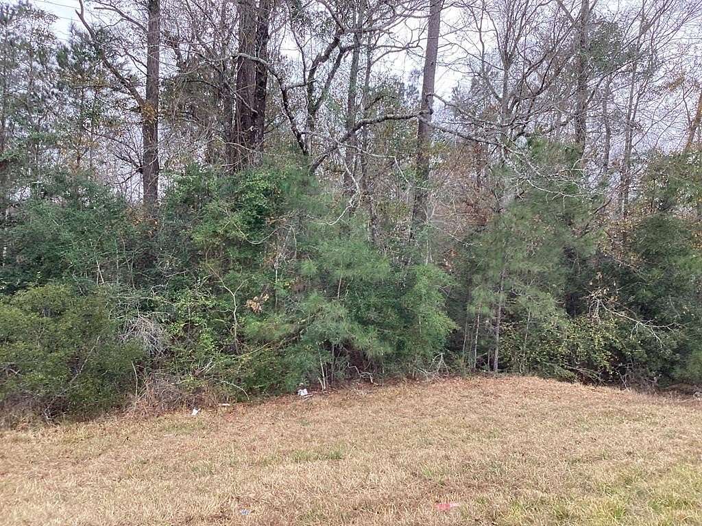 4 Acres of Land for Sale in Kirbyville, Texas
