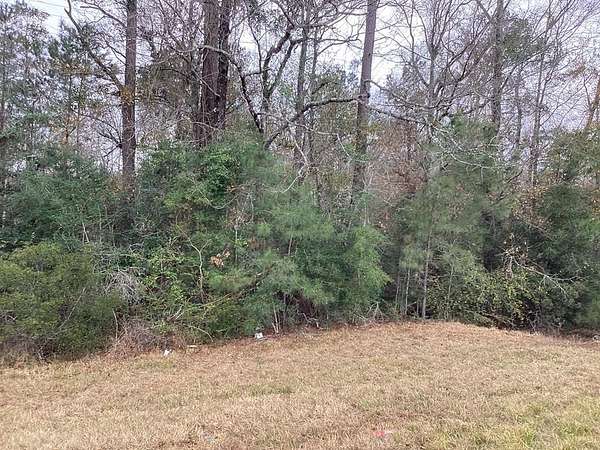 4 Acres of Land for Sale in Kirbyville, Texas