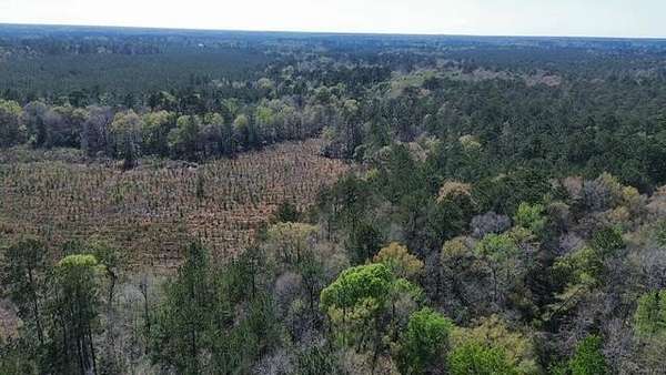 4 Acres of Land for Sale in Kirbyville, Texas