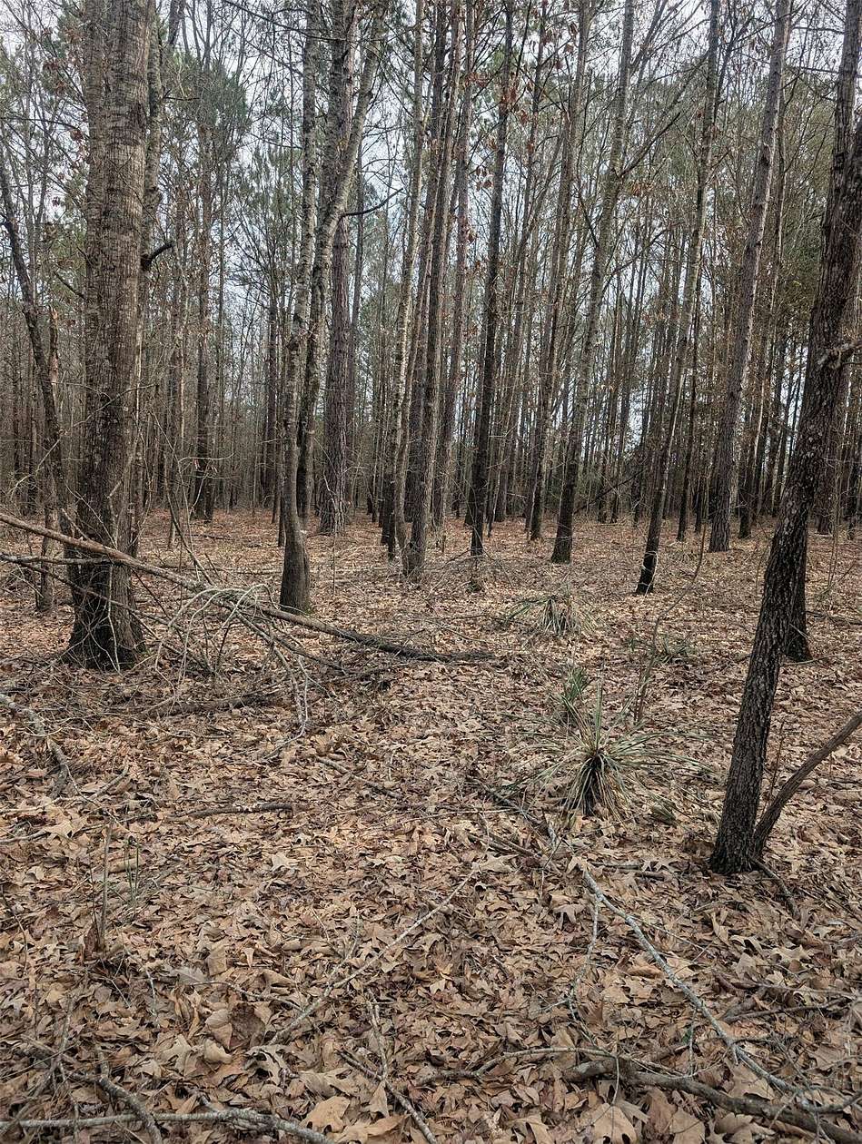 2.65 Acres of Residential Land for Sale in Hawkins, Texas