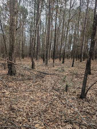 2.65 Acres of Residential Land for Sale in Hawkins, Texas