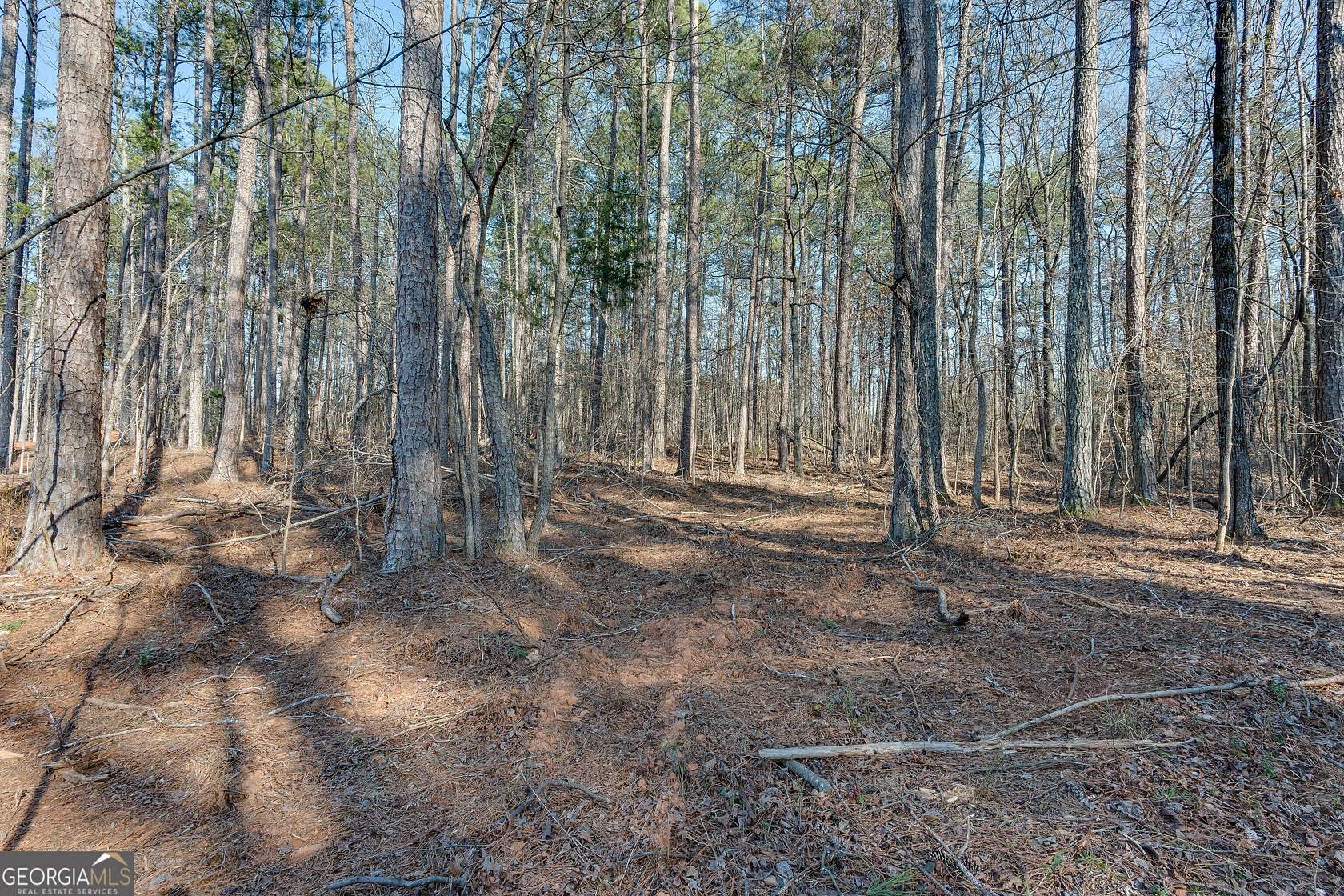 8.4 Acres of Residential Land for Sale in Monroe, Georgia