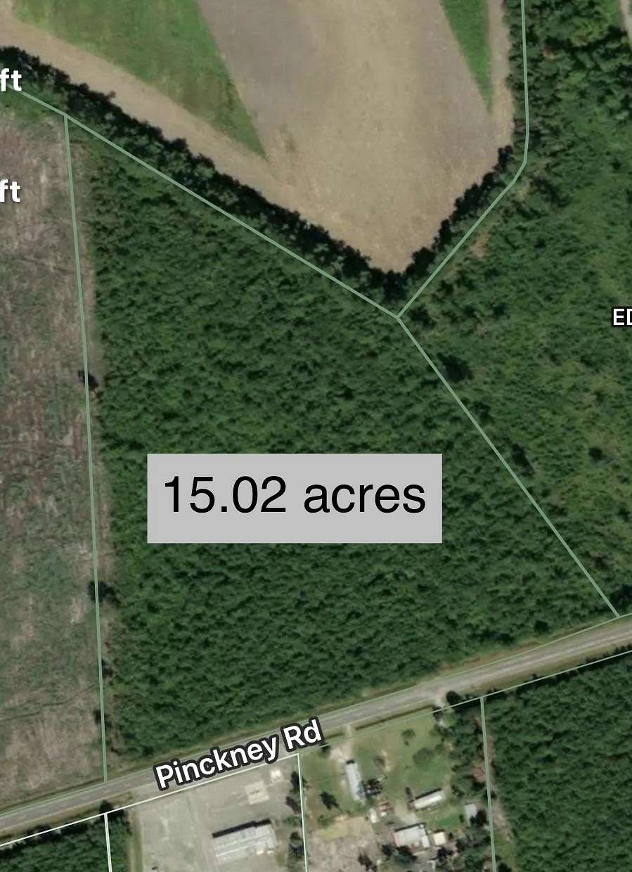 15 Acres of Land for Sale in Nichols, South Carolina