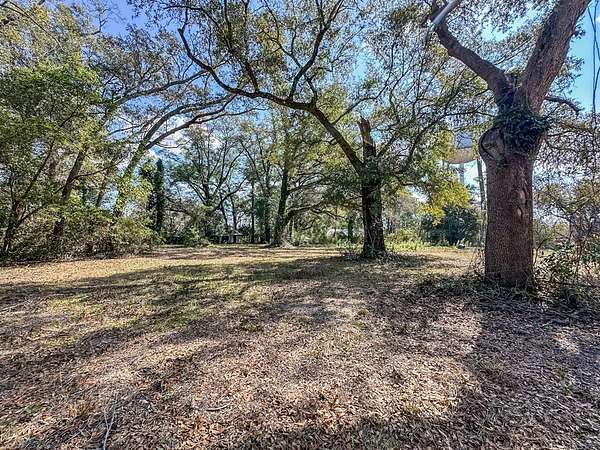 0.37 Acres of Residential Land for Sale in Geneva, Alabama