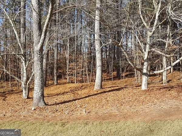 1 Acre of Residential Land for Sale in Ball Ground, Georgia