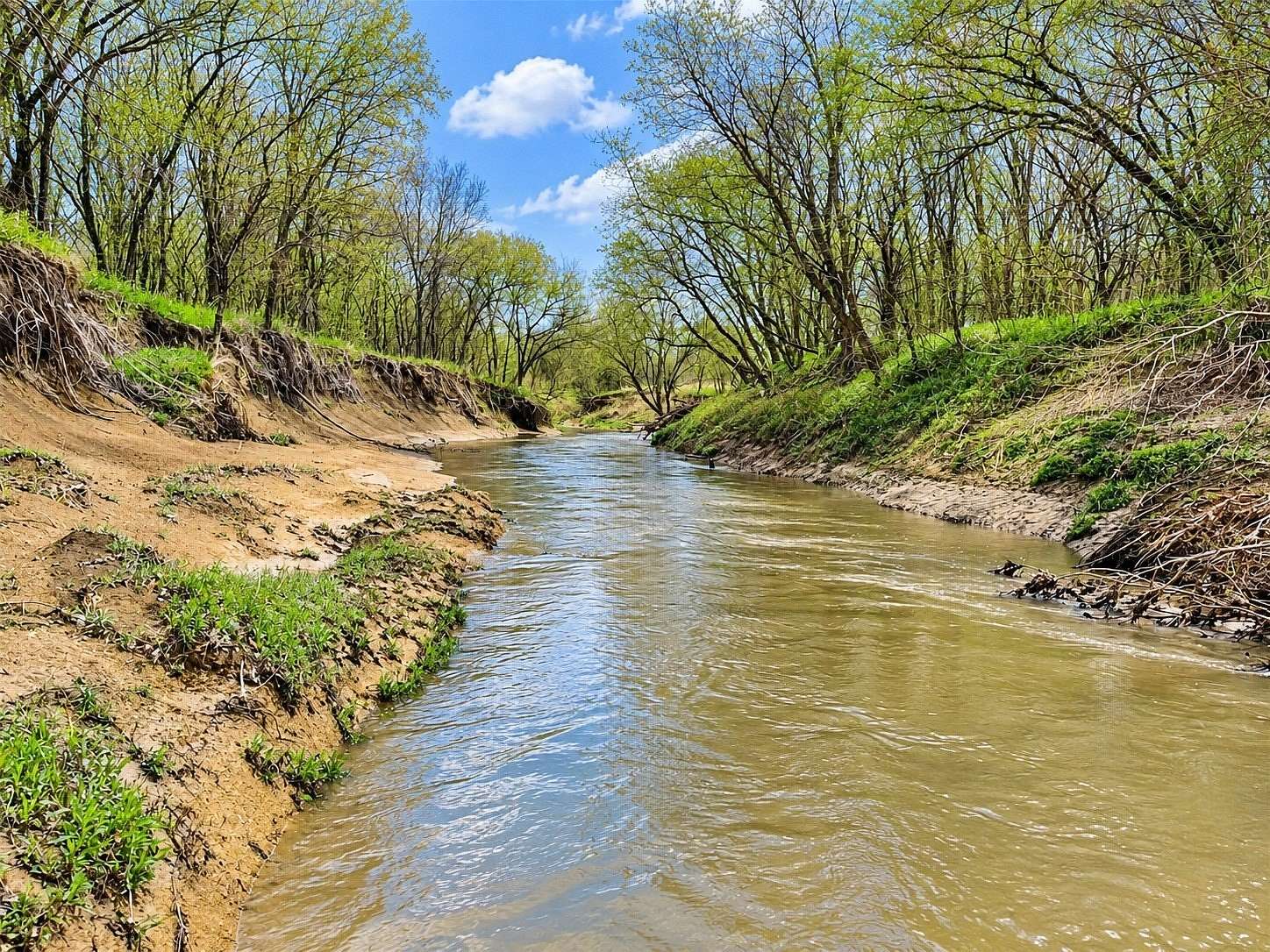 121 Acres of Land for Sale in Sherman, Texas