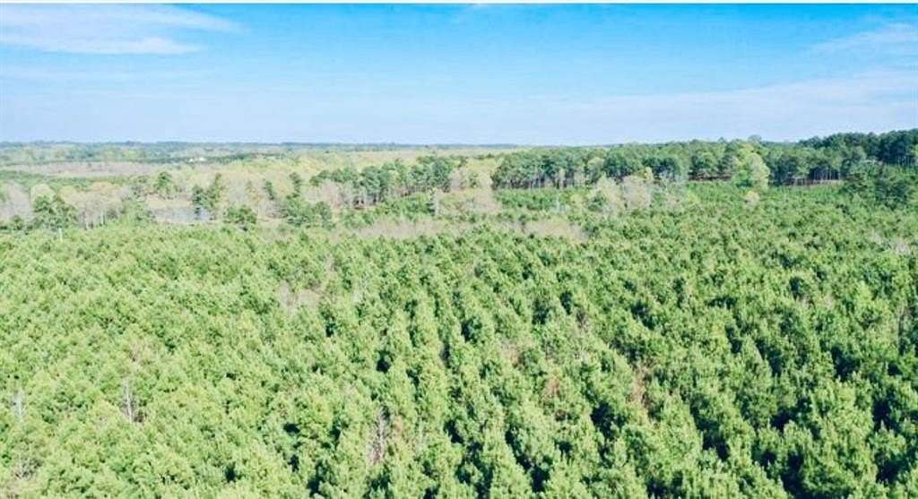 33.2 Acres of Recreational Land for Sale in Linden, Texas