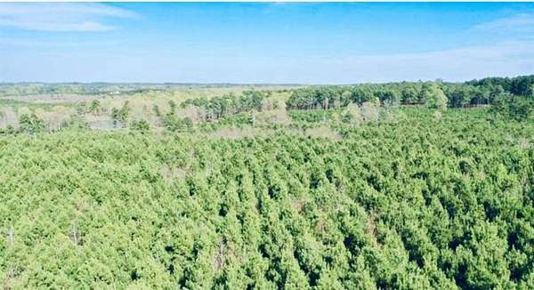 33.2 Acres of Recreational Land for Sale in Linden, Texas
