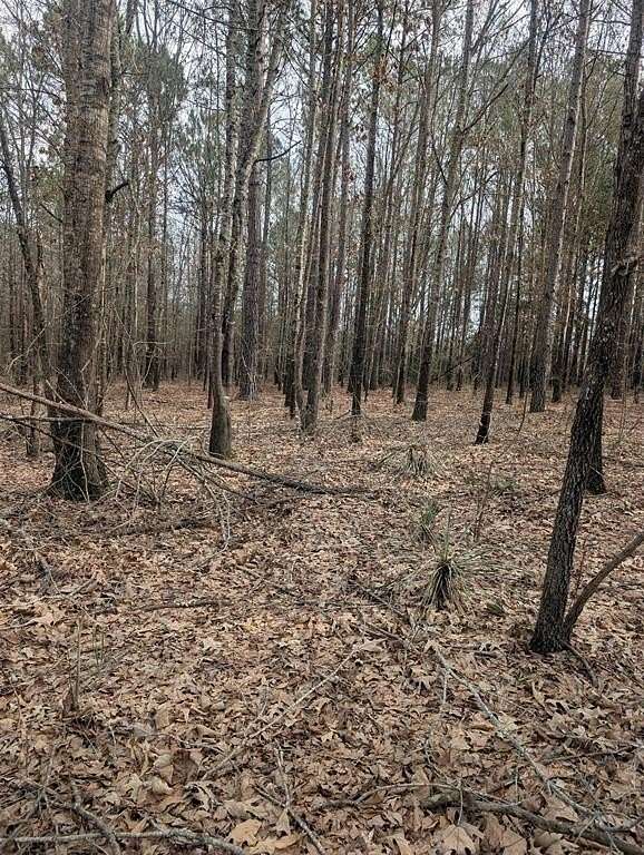 2.65 Acres of Land for Sale in Hawkins, Texas