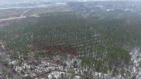 20 Acres of Recreational Land for Sale in Kirby, Arkansas