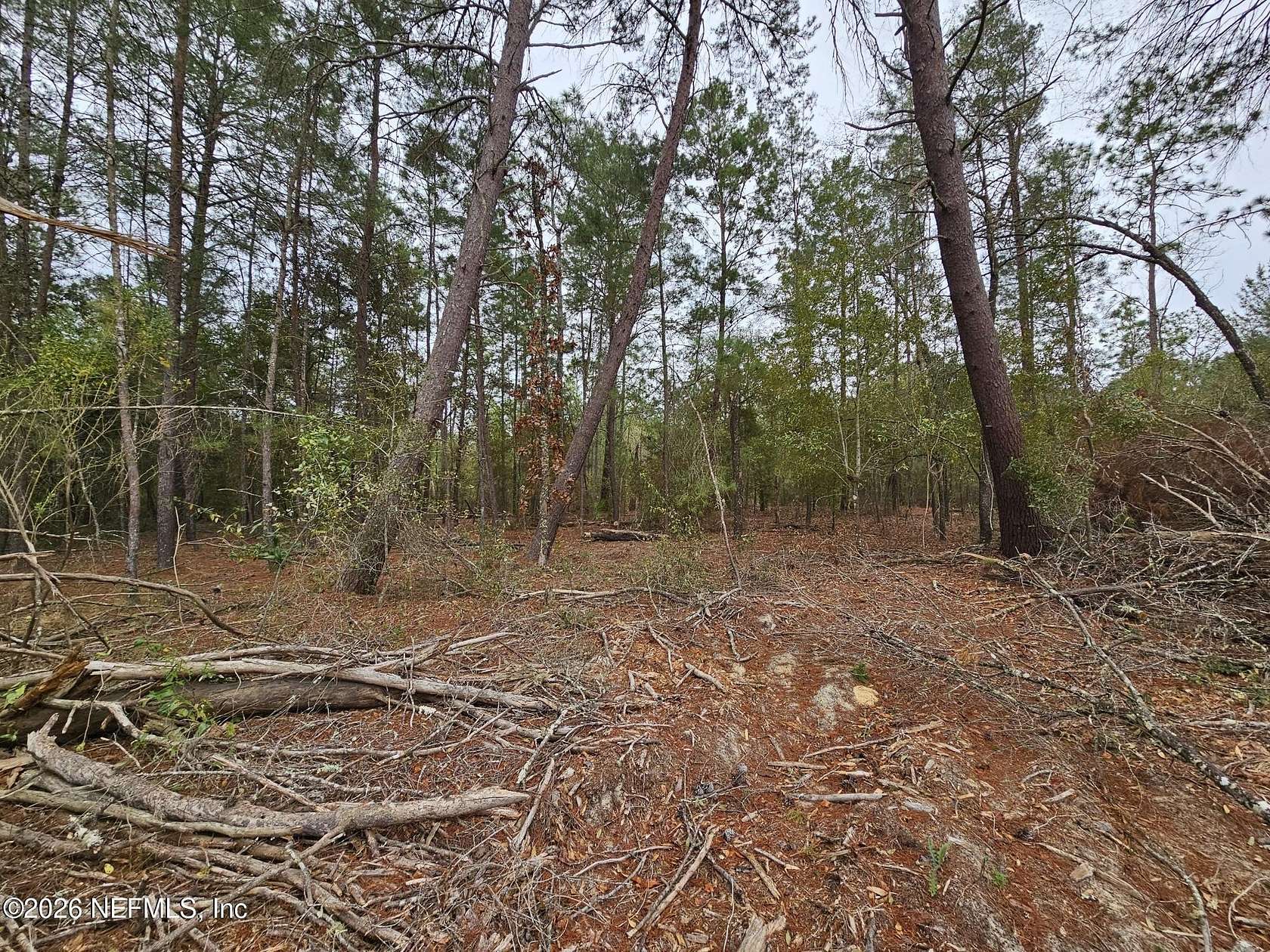 0.38 Acres of Residential Land for Sale in Interlachen, Florida