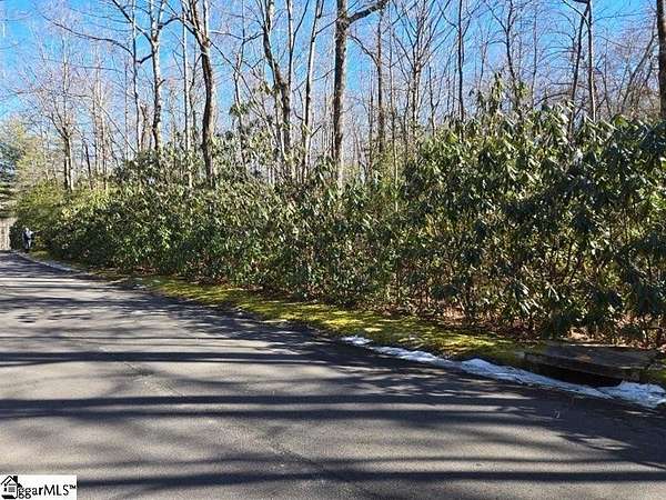 0.59 Acres of Residential Land for Sale in Cleveland, South Carolina