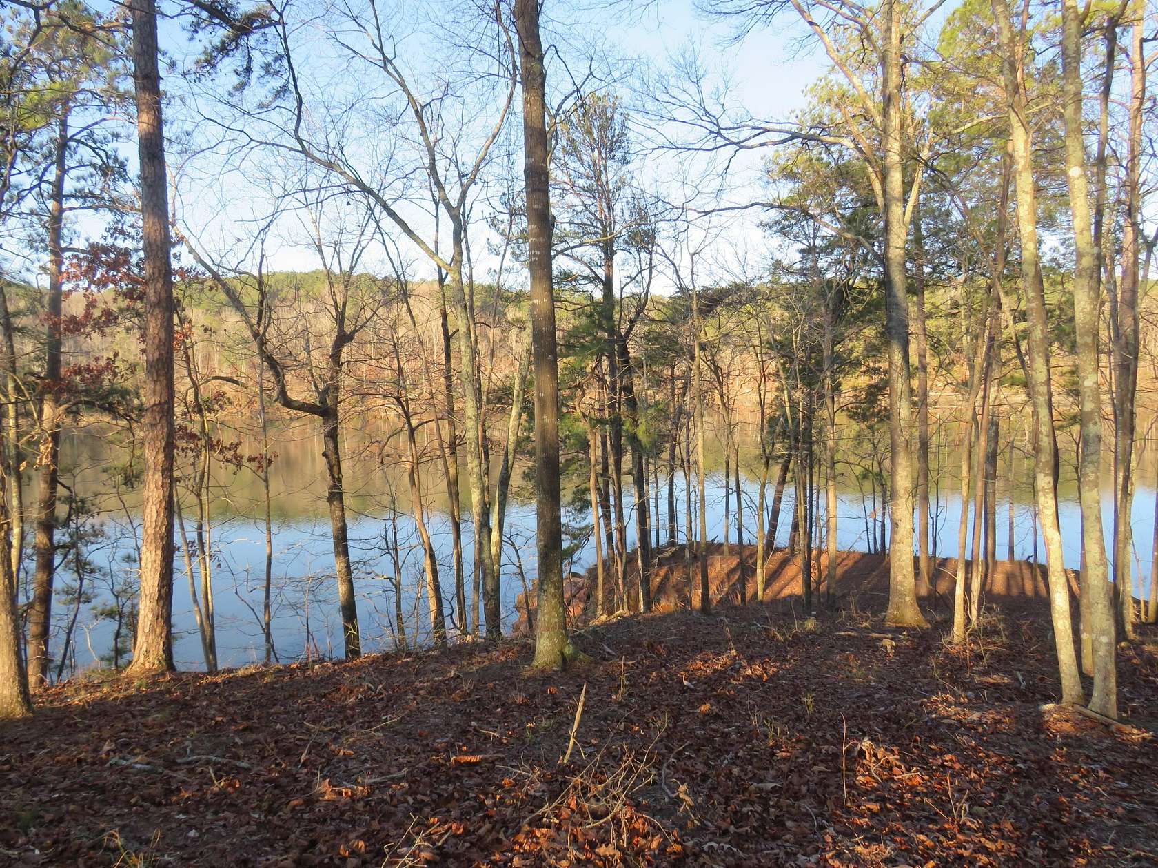 0.91 Acres of Residential Land for Sale in Arley, Alabama