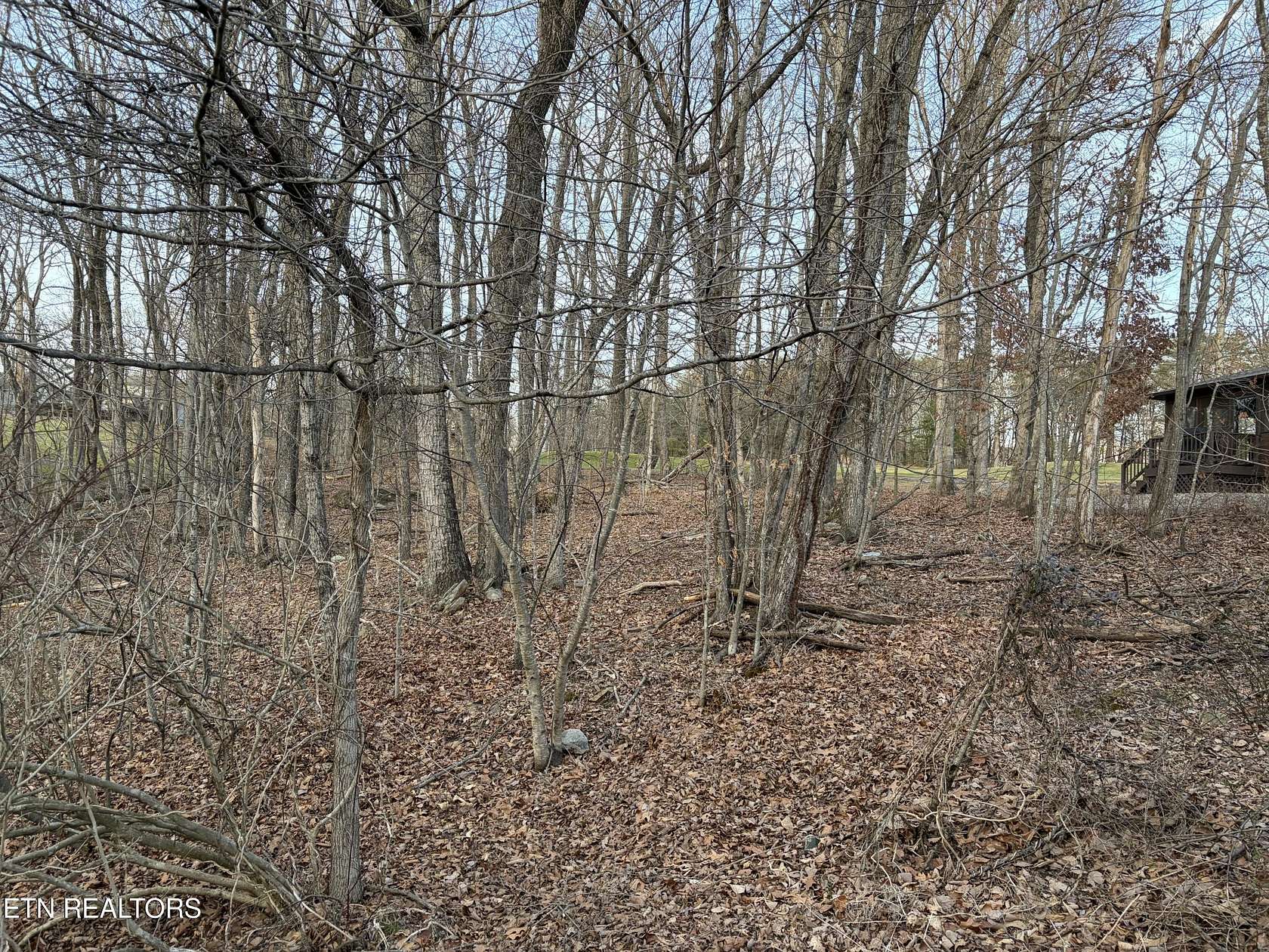 0.29 Acres of Residential Land for Sale in Fairfield Glade, Tennessee