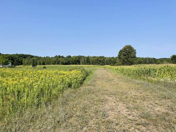 5 Acres of Land for Sale in Cadott, Wisconsin