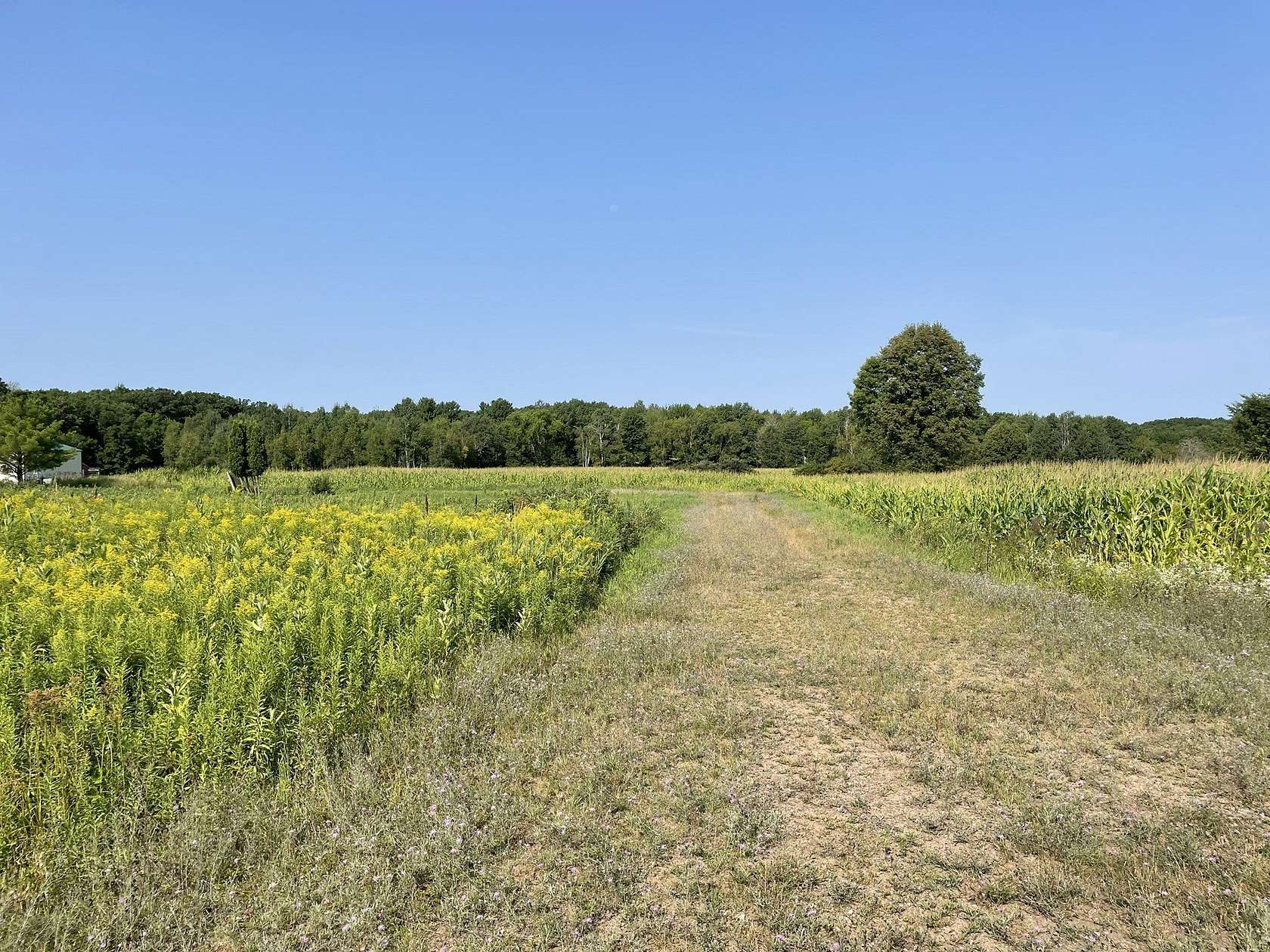 10.6 Acres of Land for Sale in Cadott, Wisconsin