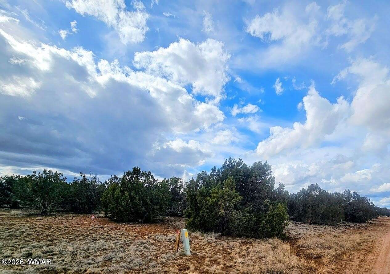 1.13 Acres of Residential Land for Sale in Show Low, Arizona