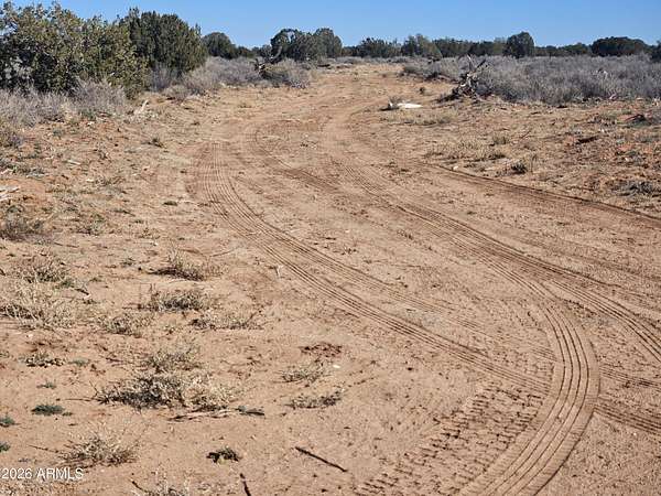 38.2 Acres of Recreational & Residential Land for Sale in Snowflake, Arizona
