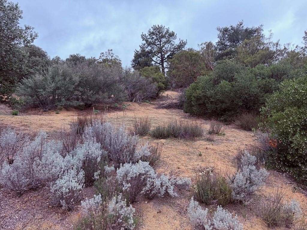 0.34 Acres of Residential Land for Sale in Pine Valley, California