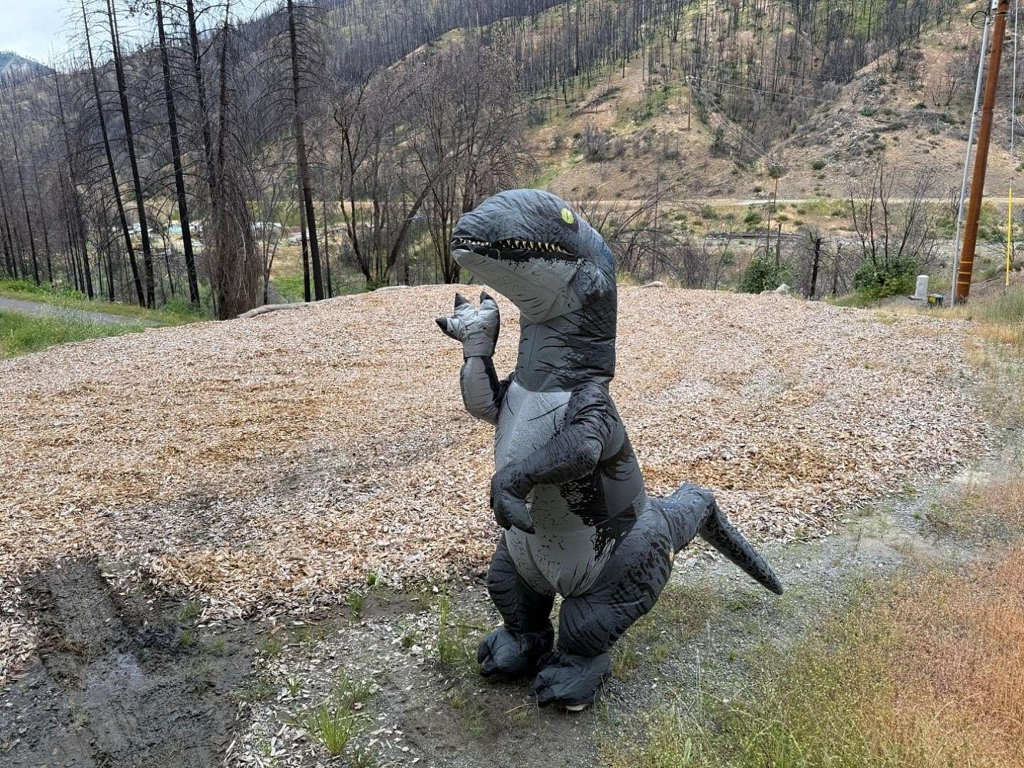 1.5 Acres of Residential Land for Sale in Scott Bar, California