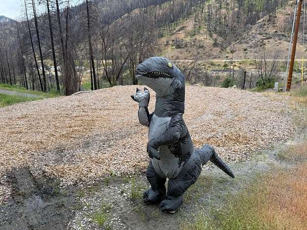 1.5 Acres of Residential Land for Sale in Scott Bar, California