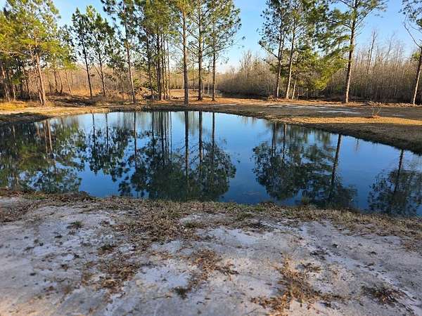 25 Acres of Recreational Land with Home for Sale in Naylor, Georgia