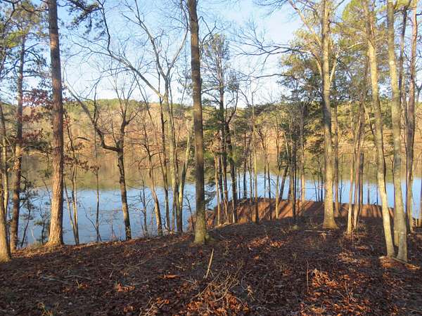 0.7 Acres of Residential Land for Sale in Arley, Alabama