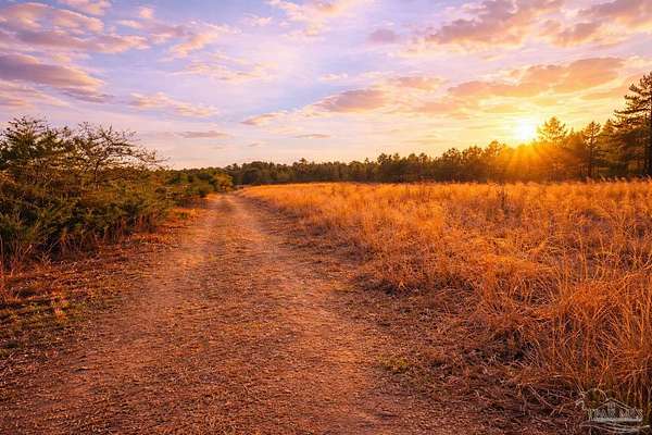2.82 Acres of Residential Land for Sale in Jay, Florida