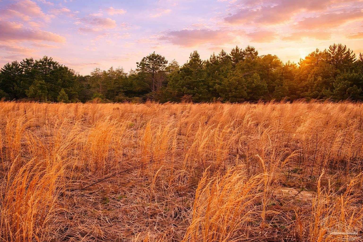 2.68 Acres of Residential Land for Sale in Jay, Florida