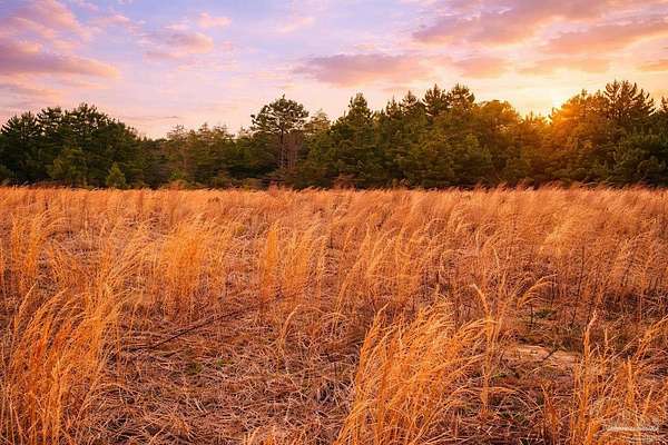 2.68 Acres of Residential Land for Sale in Jay, Florida