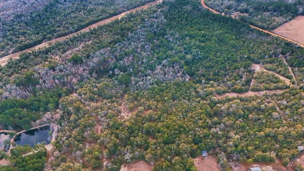 24.7 Acres of Land for Sale in Eastman, Georgia