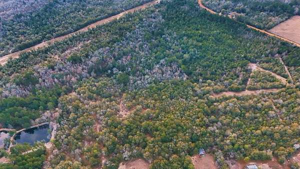 24.7 Acres of Land for Sale in Eastman, Georgia