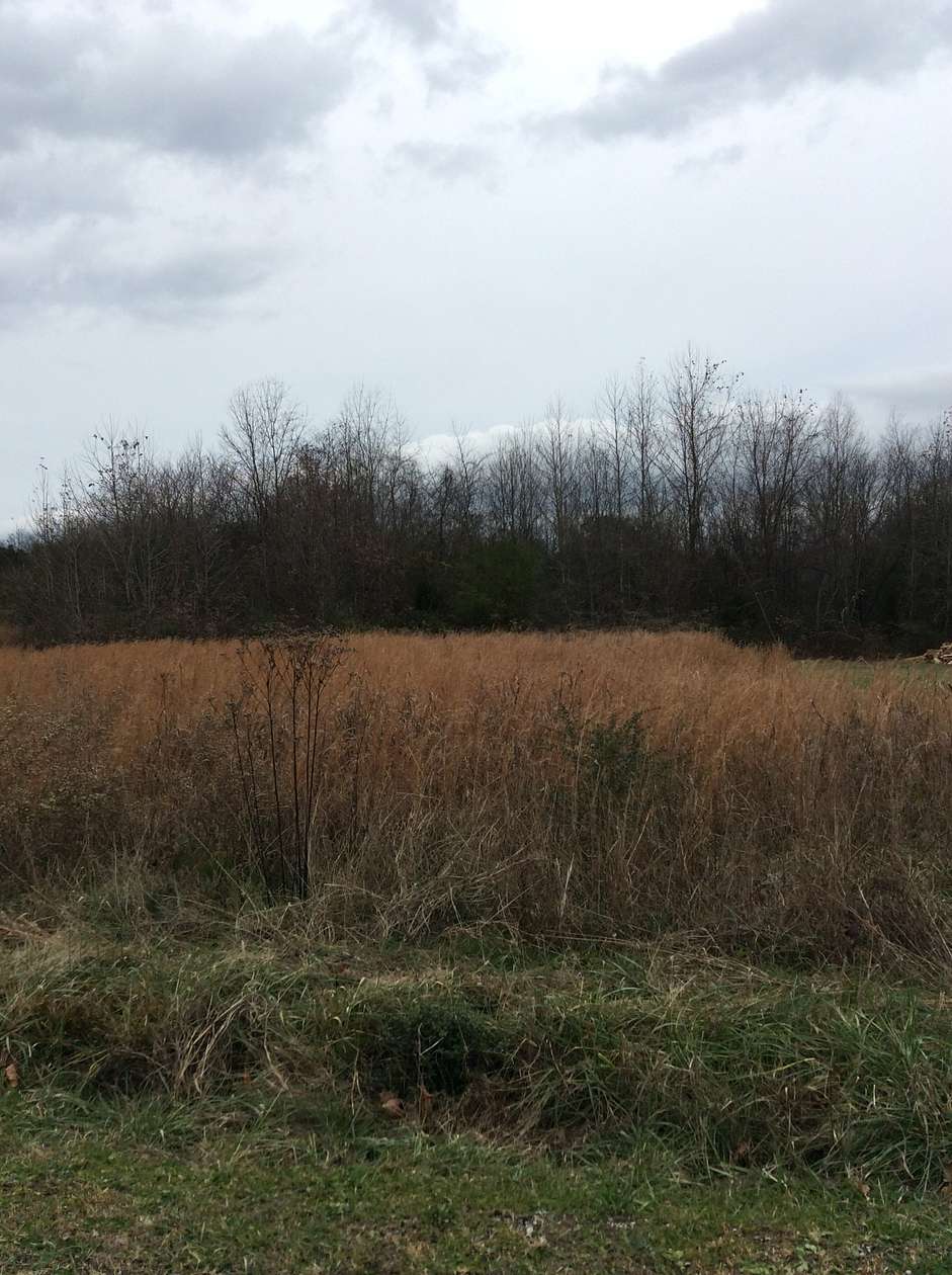 0.59 Acres of Residential Land for Sale in Linden, Tennessee