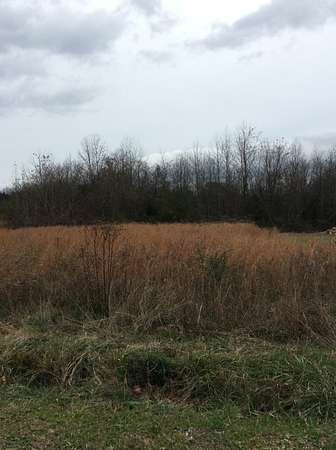 0.59 Acres of Residential Land for Sale in Linden, Tennessee