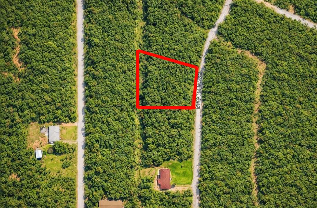 0.6 Acres of Residential Land for Sale in Horseshoe Bend, Arkansas