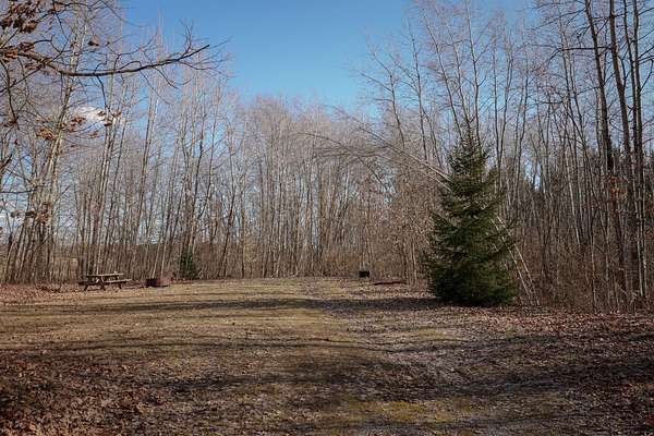 40.5 Acres of Recreational Land for Sale in Williamsfield, Ohio