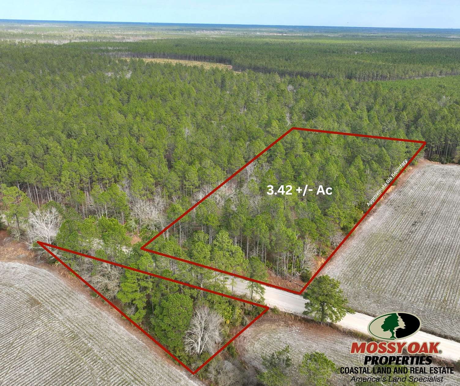 3.42 Acres of Recreational Land for Sale in Odum, Georgia