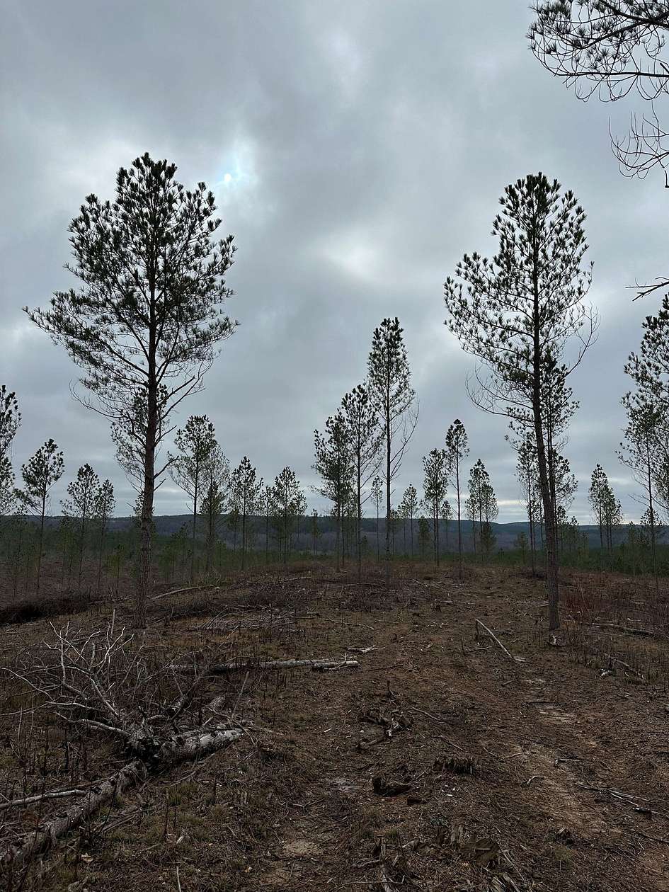 5.28 Acres of Recreational Land for Sale in Crossville, Tennessee