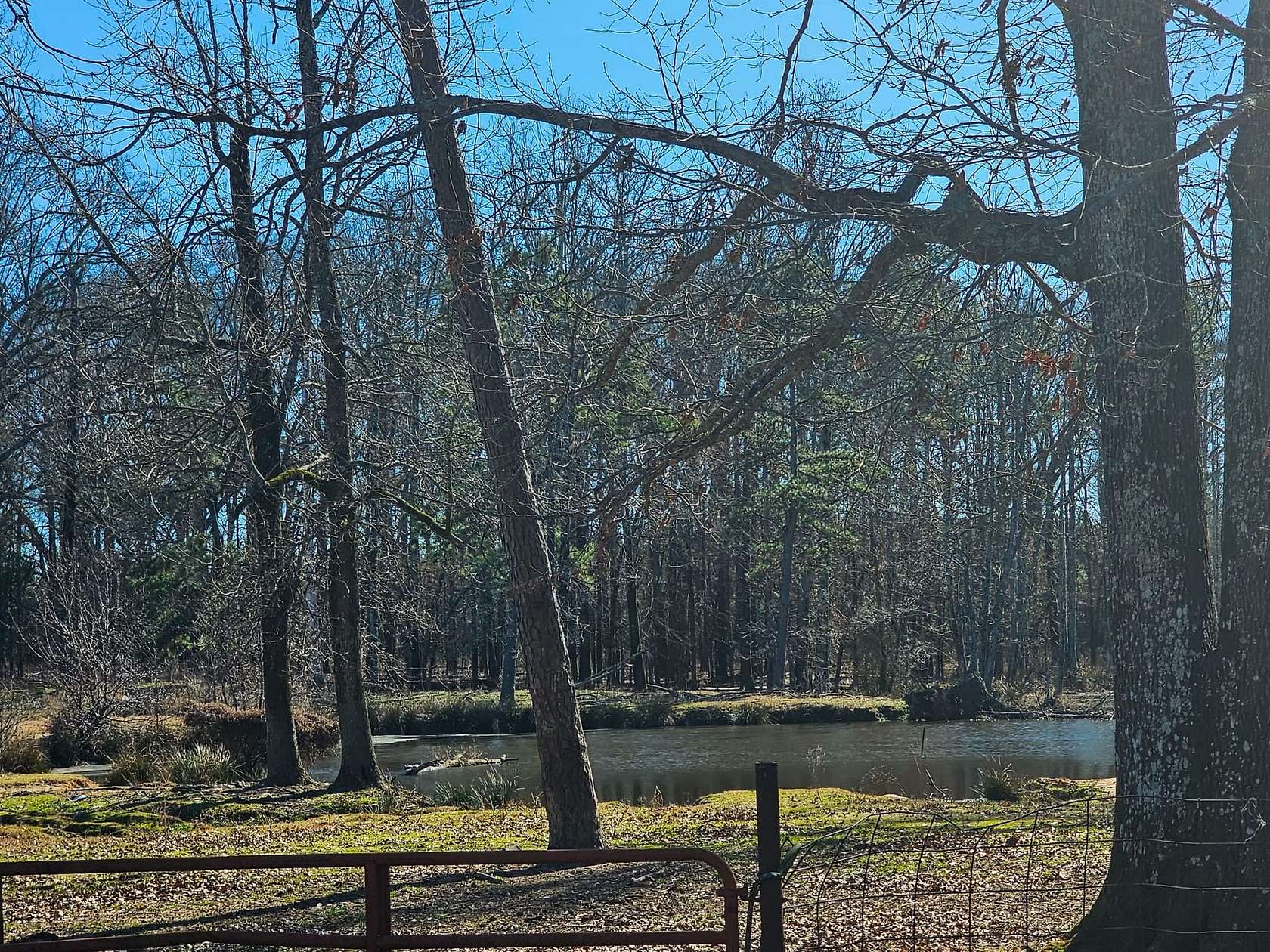 30 Acres of Recreational Land for Sale in Ashdown, Arkansas