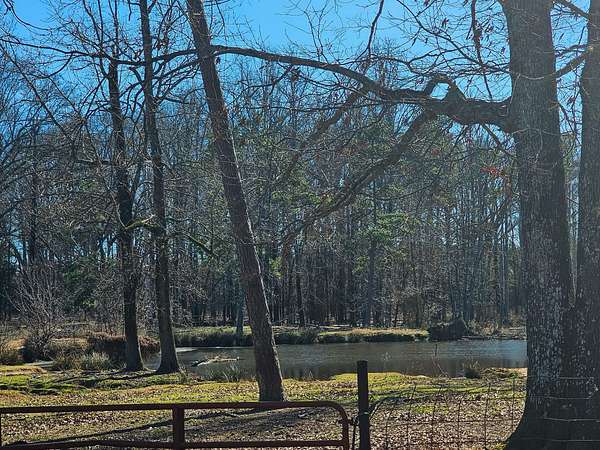 30 Acres of Recreational Land for Sale in Ashdown, Arkansas
