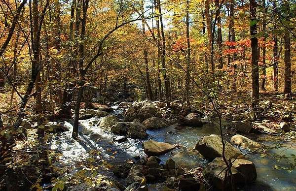 80 Acres of Recreational Land for Sale in Heavener, Oklahoma